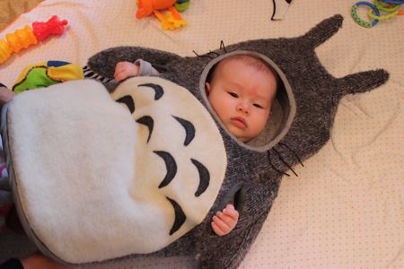 The full view of Maile's Totoro costume