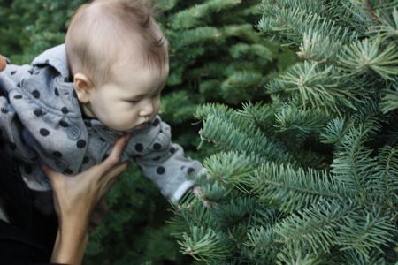 Daddy, I think we should pass on this one - I'm just not sure these branches are going to hold up well.