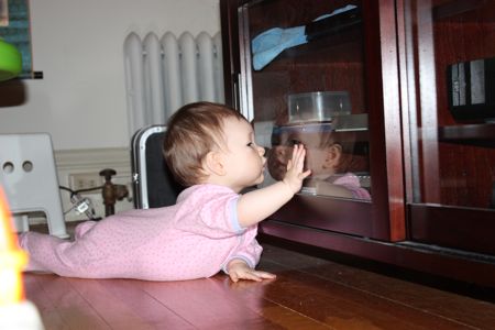 Hmm... what's in here? It looks like fun... I wonder why Daddy chose to block my access with this shiny clear divider?