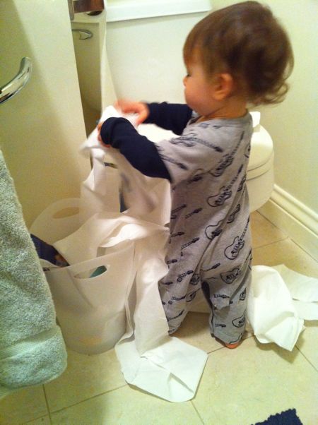 What? I'm just learning how toilet paper works...