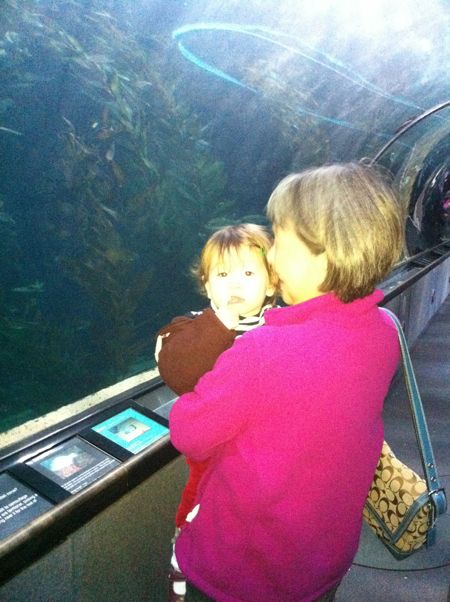 I was a little afraid at the aquarium, but Gramma protected me...