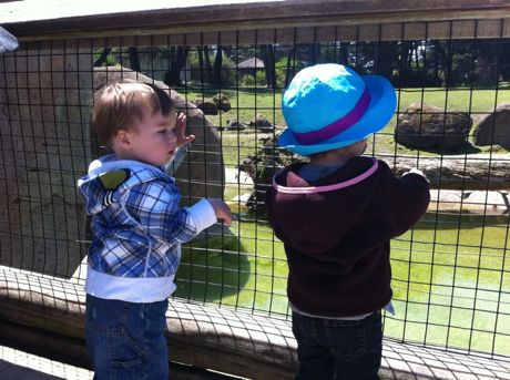 Maile checking out the wild animals. Jake checking out Maile. (Hat tip to Renee R for the caption.)
