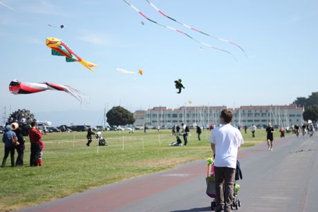 Bye bye kites, we'll see you soon...