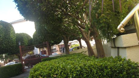 This is our courtyard - I think the trees are really pretty.