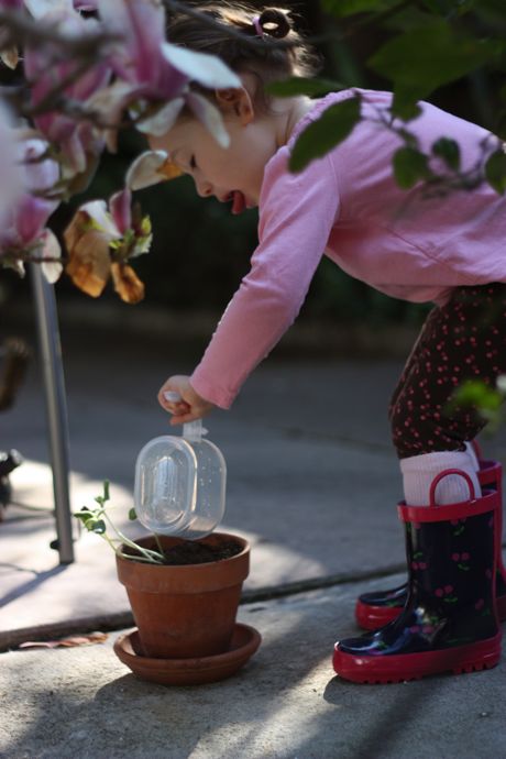 ... Daddy laughs at me - he says I stick my tongue out like Michael Jordan when I water my plant. I don't know who that is, but I hope he takes good care of his plants...