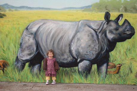 Yes, Maile, rhinos really are that big!