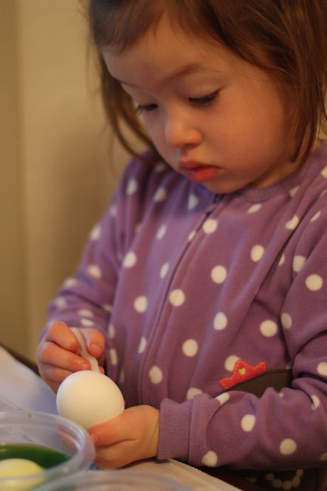 Please be quiet, painting Easter eggs is VERY serious work.