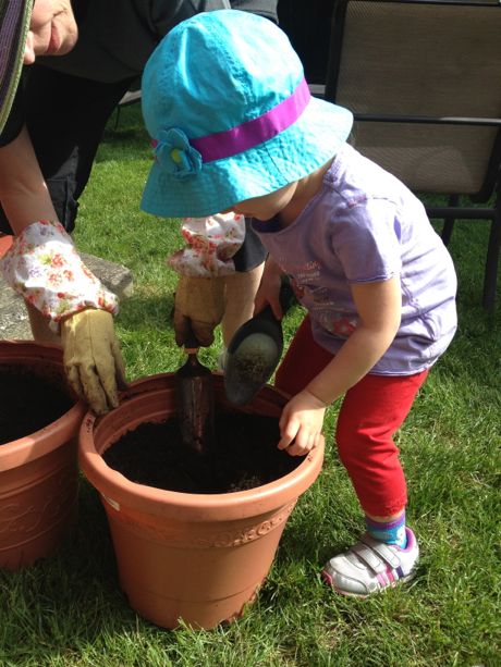 Then we filled the pots with dirt.