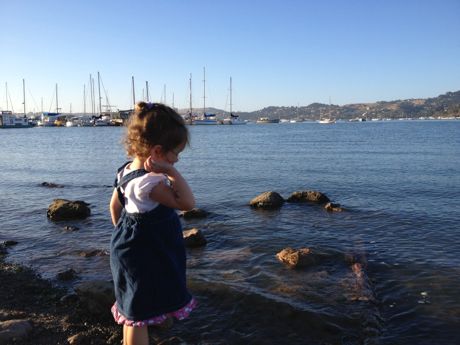 Dinner with a view in Sausalito...