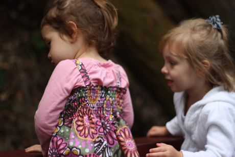 Hannah and Maile had a blast watching the forest go by from the side of the train car...