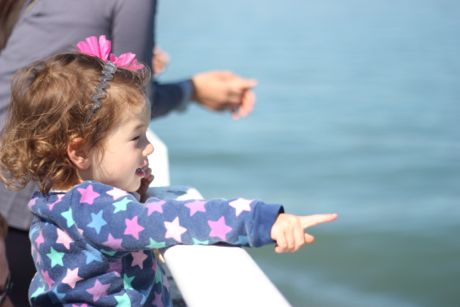 Maile has a future as a ferry tour guide - she pointed out every big boat, island and sea gull we passed...