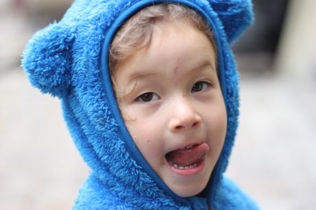 Blue bear, blue bear, what do you see?