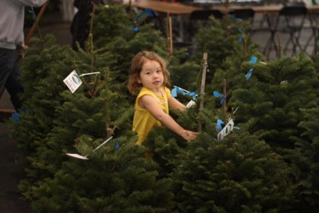 Daddy and Mommy, I found a tree!