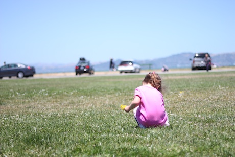 Picking daisies...