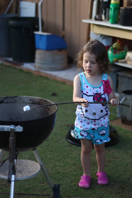 ... then you stand at a safe distance and heat the marshmallow over the fire. You have to make sure not to touch the coals at the bottom otherwise your marshmallow will get dirty.