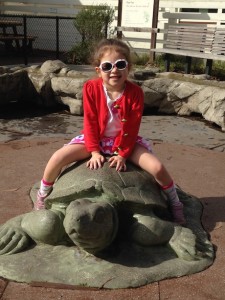 How many kids do you think have taken a picture on this turtle?