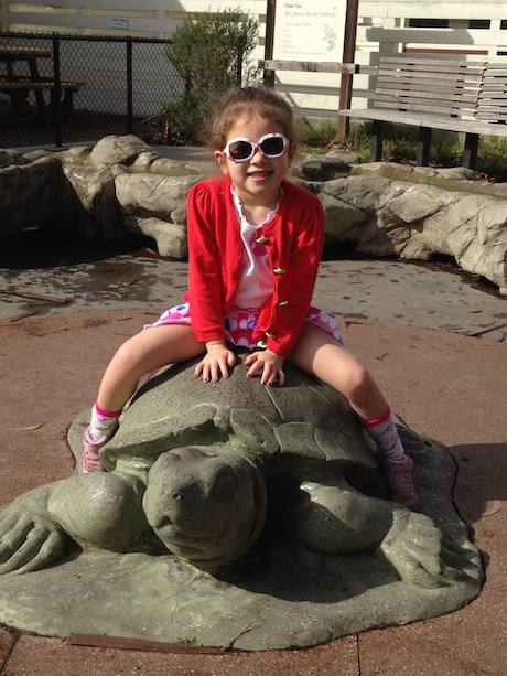 How many kids do you think have taken a picture on this turtle?