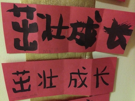 Chinese New Year's wishes from Maile (top) and Mommy (bottom)