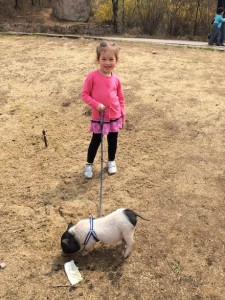 Maile walking a little piglet