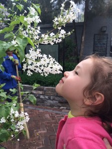 ... pausing to smell the flowers :)