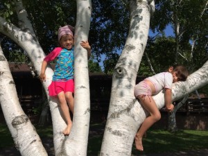 Climbing trees with Natalie