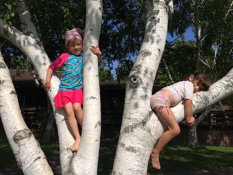 Climbing trees with Natalie