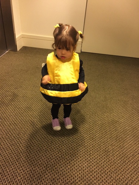 Our littlest bee getting ready to go out...