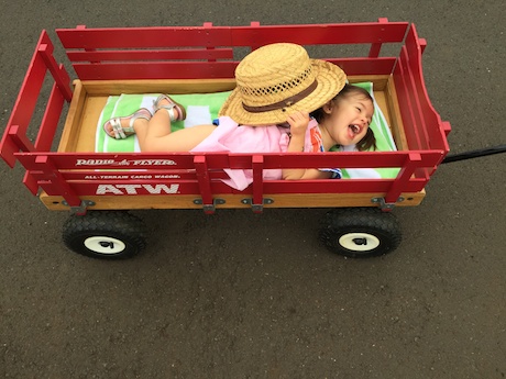 After pulling the cart that far, a girl deserves a rest in the sun :)