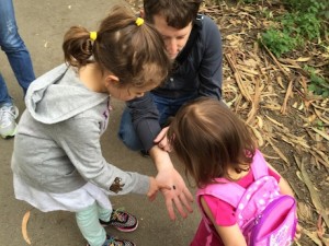 We found a bug! And we even touched it too - girls are getting braver :)