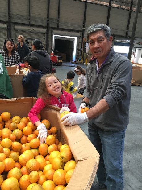 Maile and Papa getting ready to dig in sorting oranges at the Food Bank...