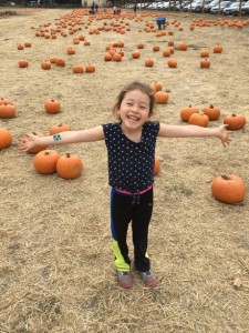 So. Many. Pumpkins.