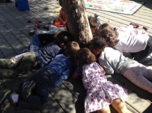Coconut Tree students carefully observe ants around the olive tree.