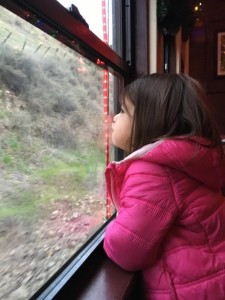 Lauren's class at school has been really into trains this year - so this was quite the adventure for her...