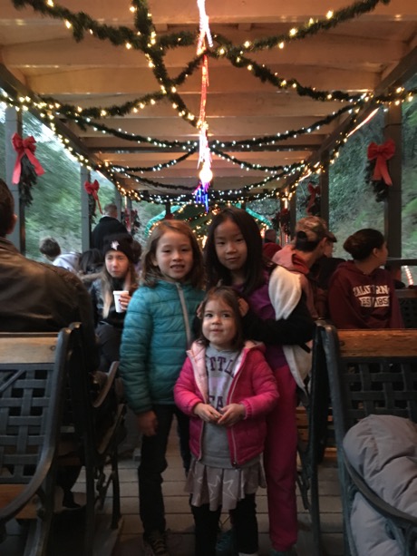 Maile, Lauren and Gemma on one of the train cars - they are all decorated and lit up...